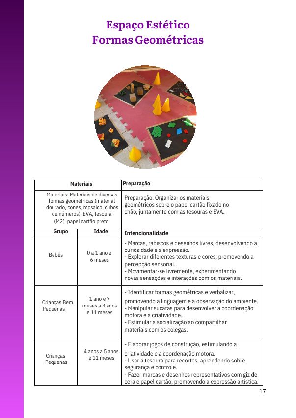 Página do e-book com a ficha do Espaço Estético Formas Geométricas